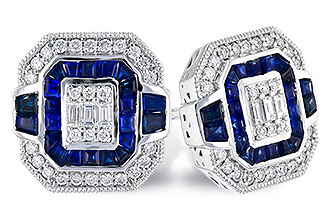 F309-24930: EARR .78 SAPP TW 1.03 TGW