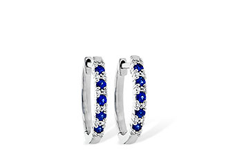 M226-49520: EARR .24 SAPP .30 TGW